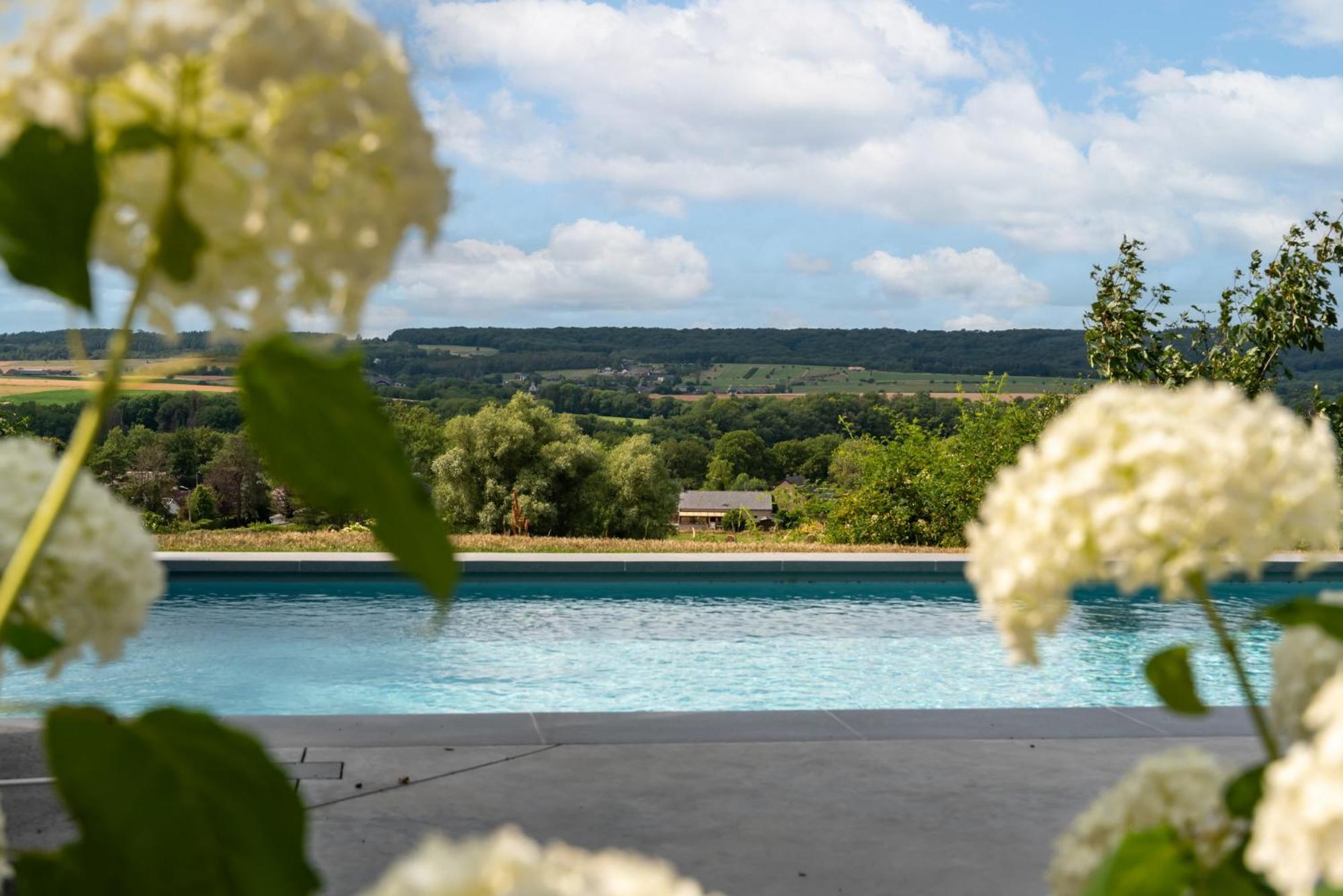 Gite 1 Maison Caerdinael - Gite 14 Personnes Sur Les Hauteurs De デュルビュイ エクステリア 写真